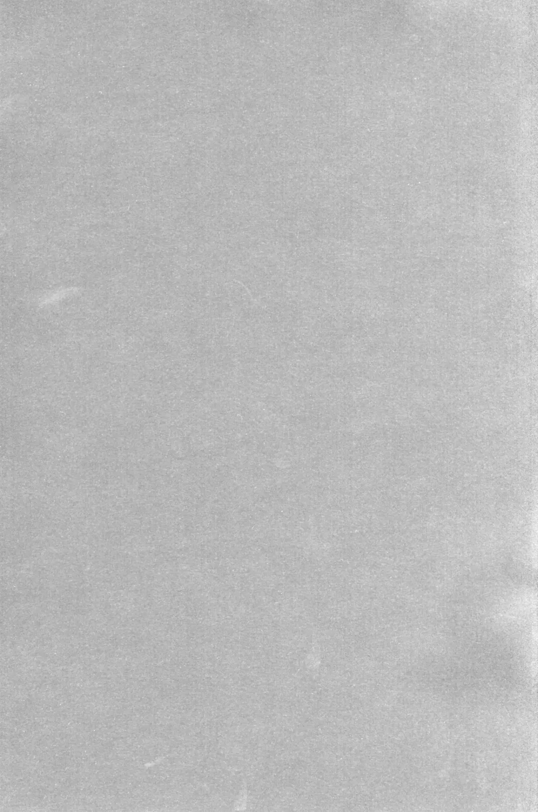 [Igusa Shunrou] Guuzou Shounen Fhentai - Page 2