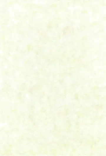 [Hafu] whip x whip Fhentai - Page 3