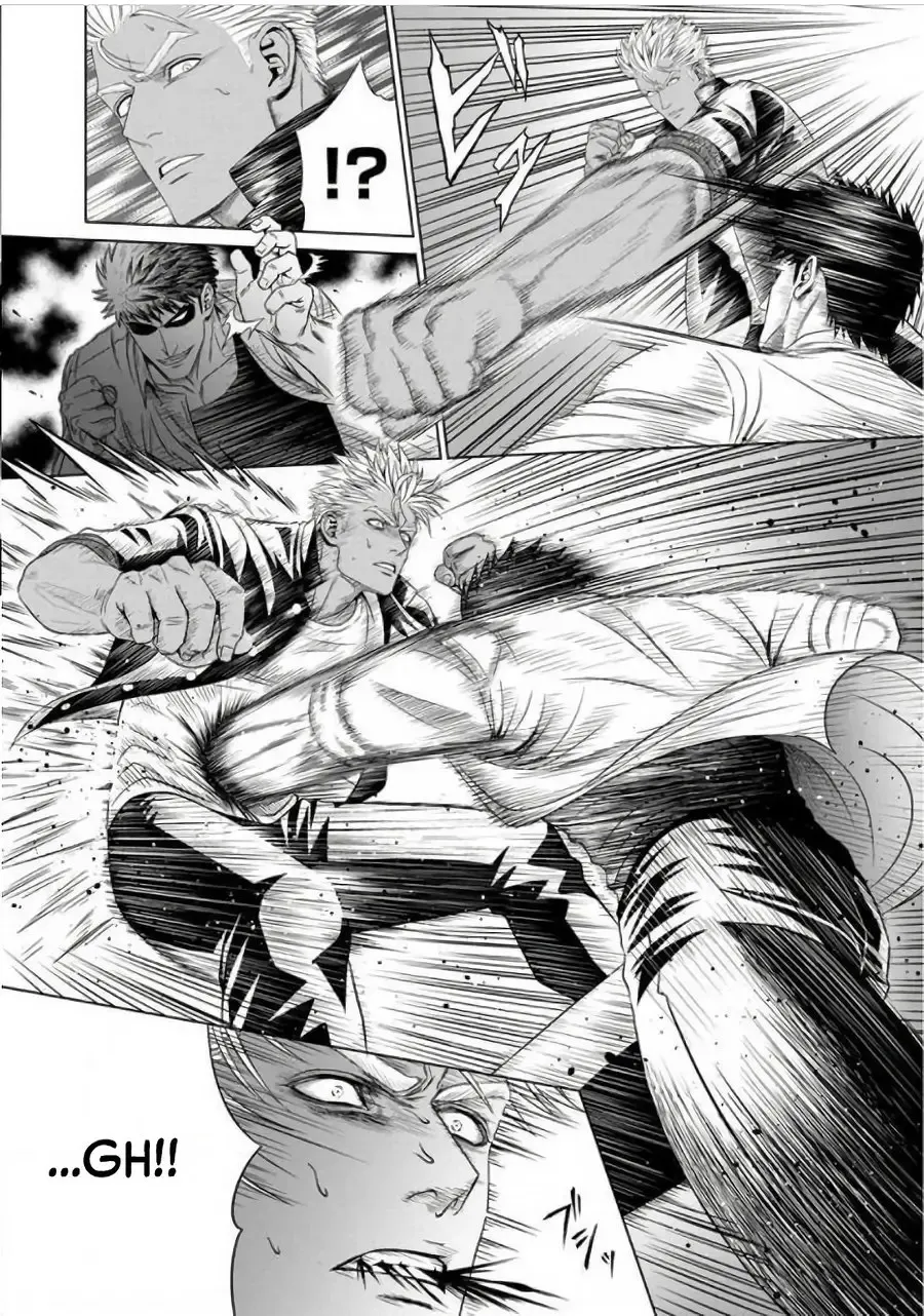 [N] Furyou Mesu Ochi Fhentai - Page 12