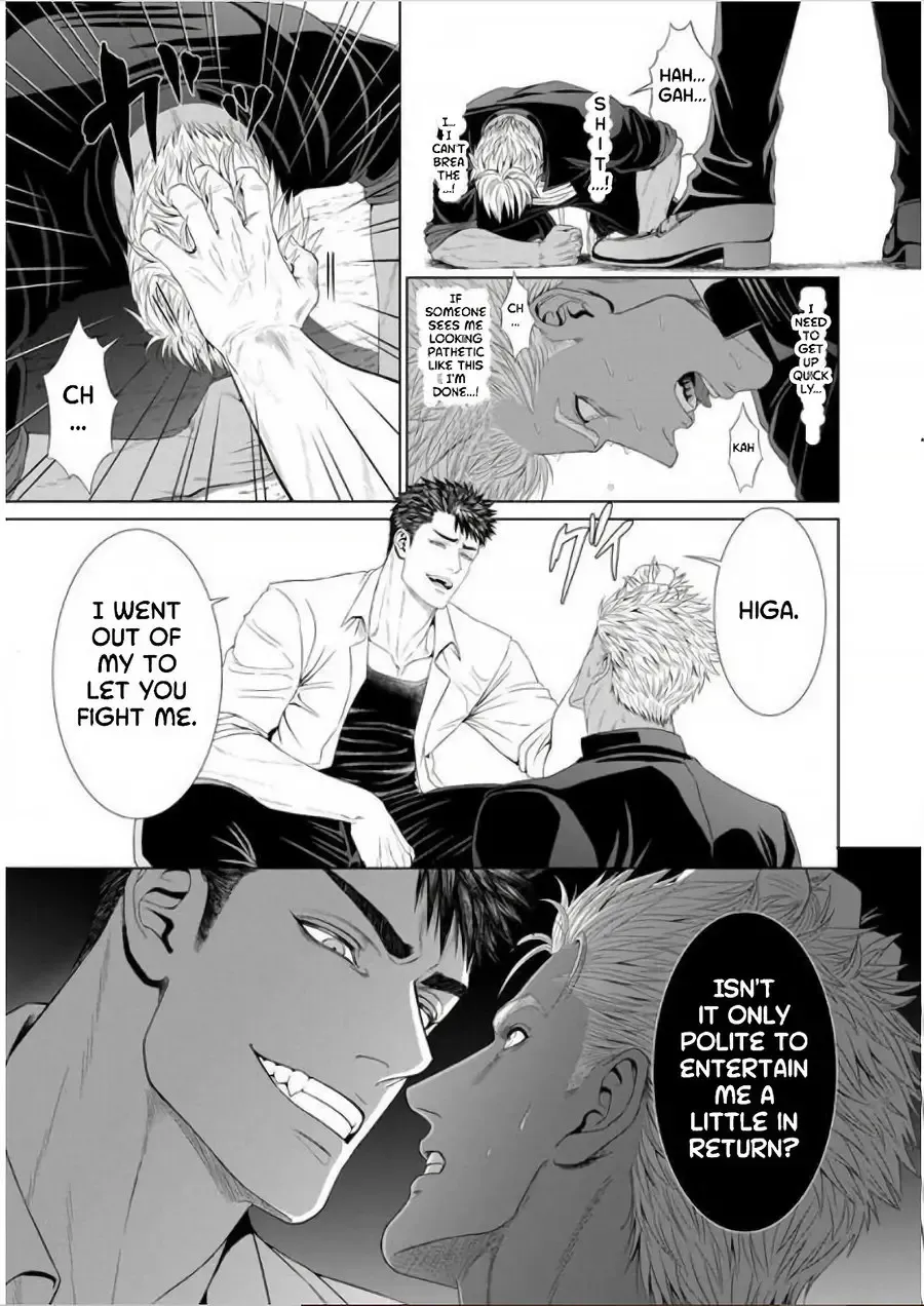 [N] Furyou Mesu Ochi Fhentai - Page 15