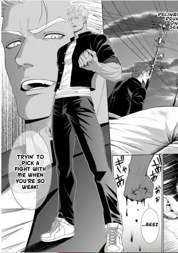 [N] Furyou Mesu Ochi Fhentai - Page 5