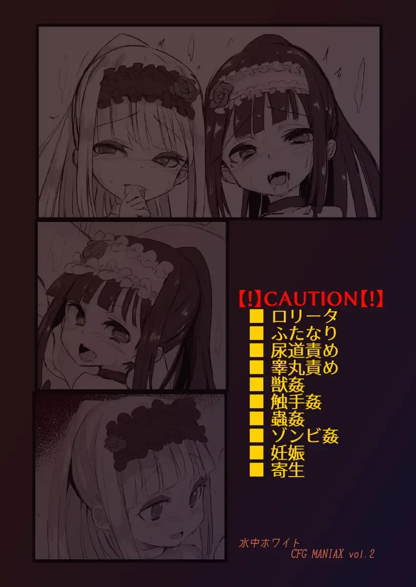 [Calpish] FRASCO Fhentai - Page 13