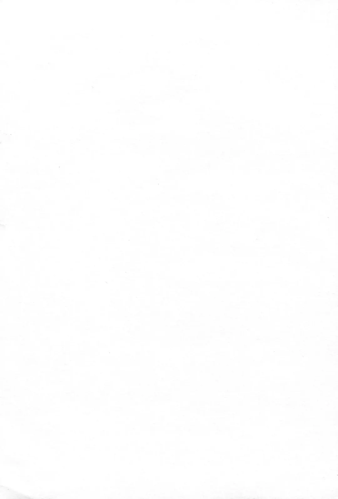 [Ichinomiya] Yoru Yahagi Fhentai - Page 3