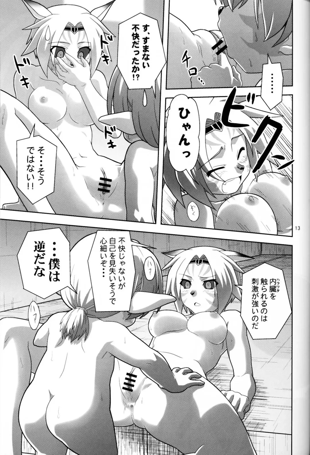 [Akikan] Irojiro Mithran Tarutaru Fhentai.net - Page 12