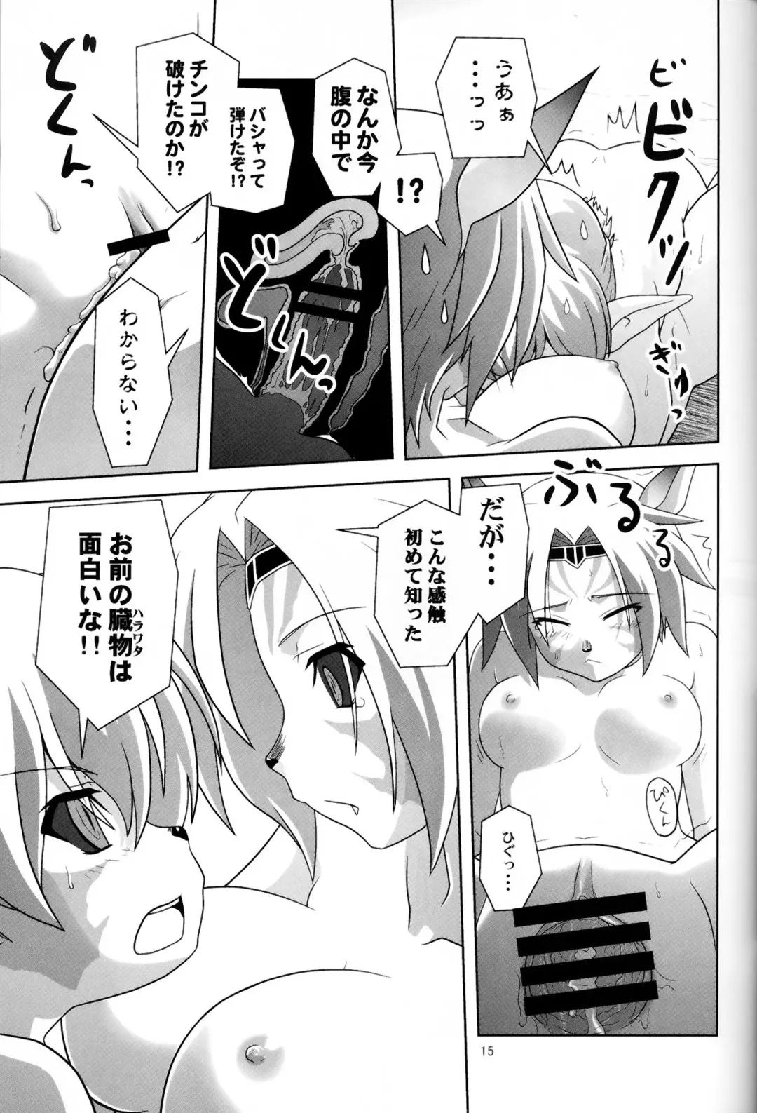 [Akikan] Irojiro Mithran Tarutaru Fhentai.net - Page 14