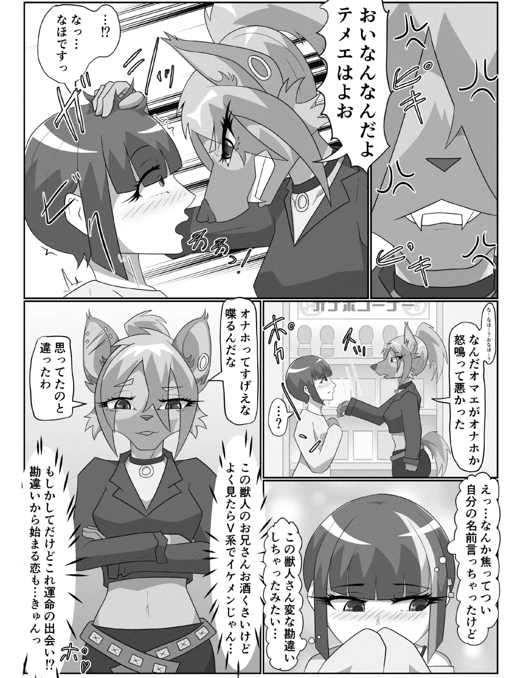 [Tuberose Kotoki] Hyena Nee-san to Onahole-chan Fhentai - Page 11