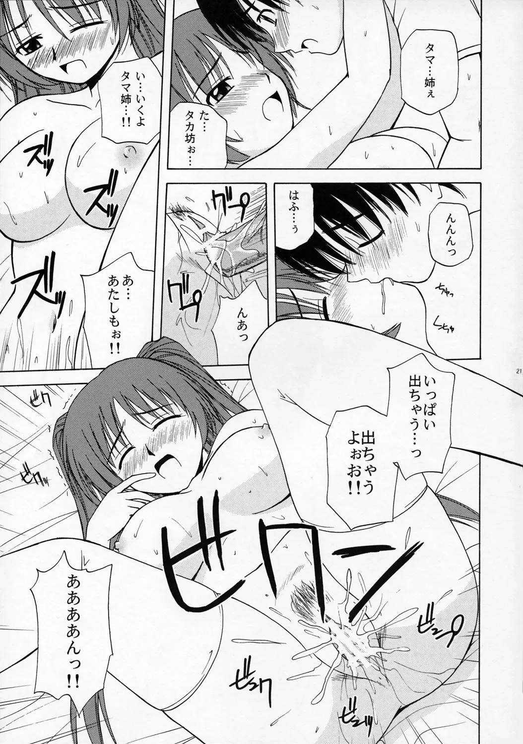 [Satou Chagashi] Tama-nee to Issho Fhentai - Page 20