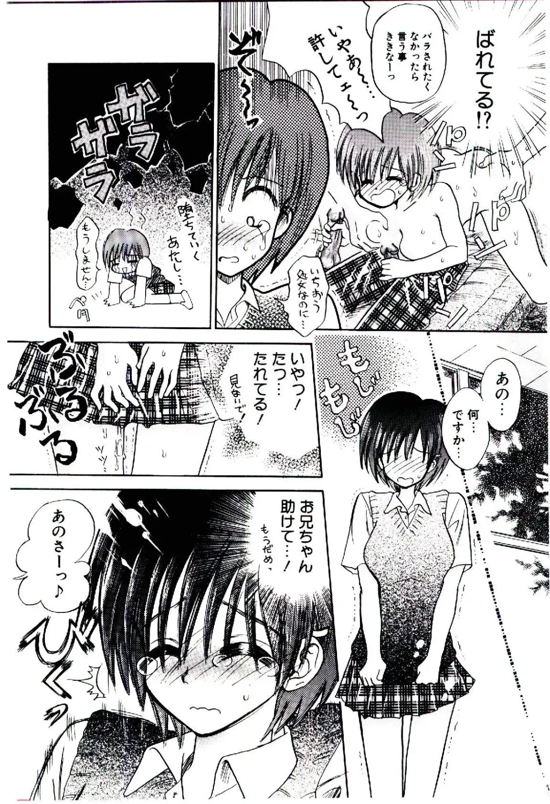 [Usagi No Tamago] Setsunasa no Tamago Fhentai - Page 57