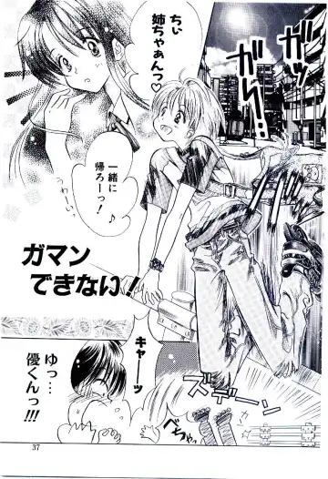 [Usagi No Tamago] Setsunasa no Tamago Fhentai - Page 38