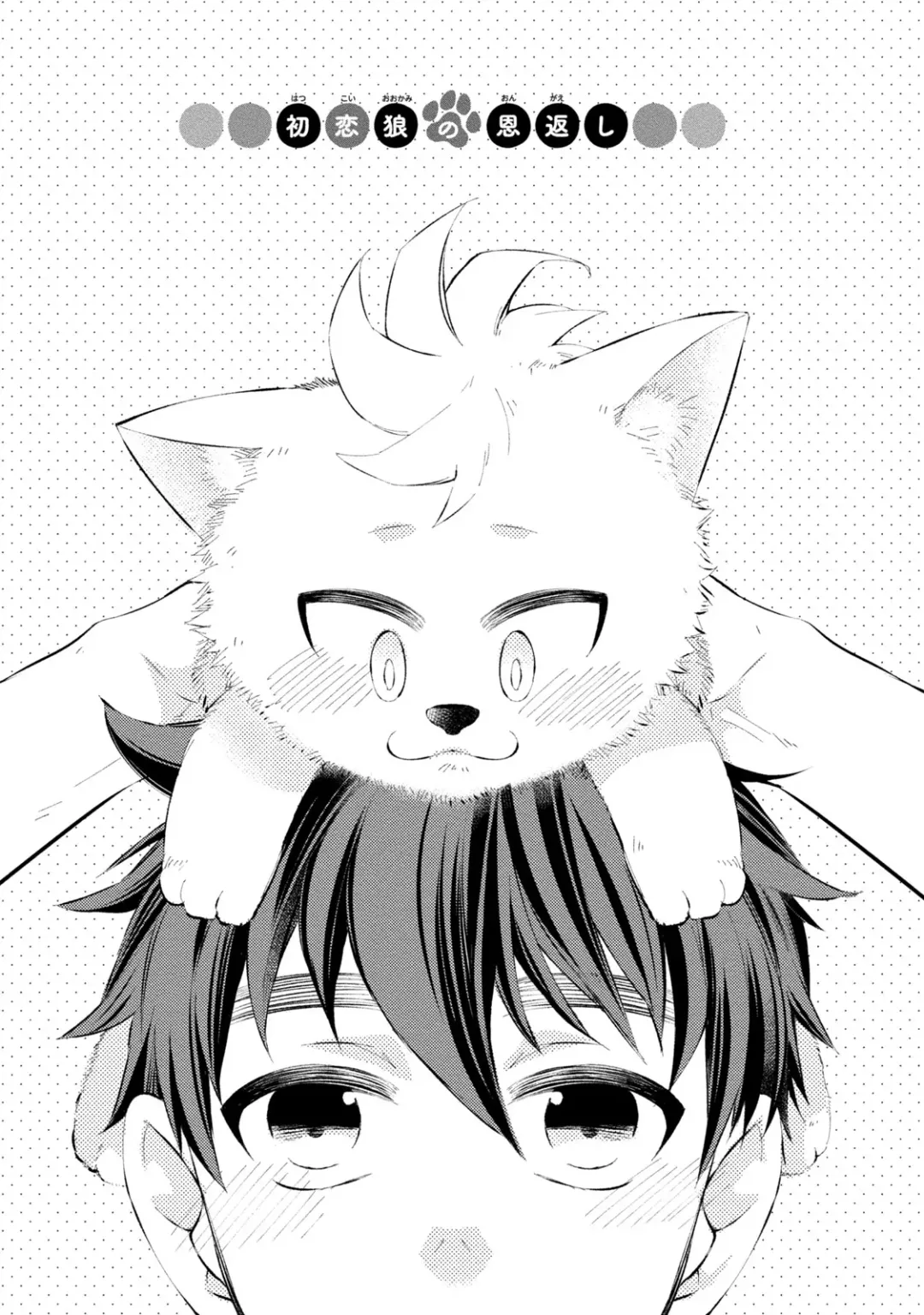 [Yoshidaya Roku] Ookami-san to Eroi koto Fhentai - Page 102