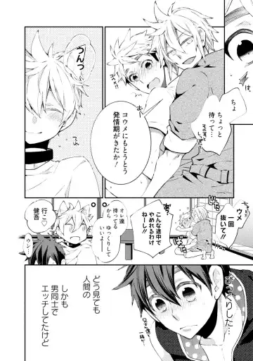 [Yoshidaya Roku] Ookami-san to Eroi koto Fhentai - Page 137