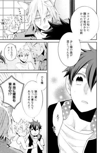 [Yoshidaya Roku] Ookami-san to Eroi koto Fhentai - Page 146