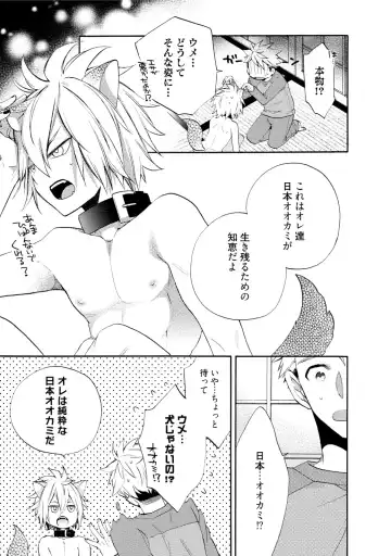 [Yoshidaya Roku] Ookami-san to Eroi koto Fhentai - Page 20