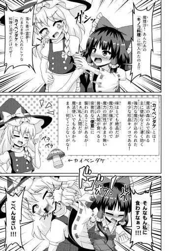 [Seiludo] Reimu no Fuun na Daiihen - Embarrassed Accidents! Fhentai - Page 14