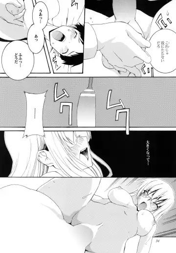 [Honoutsukai] Lied der Nacht 11 ~Yoru no Uta~ Fhentai - Page 34