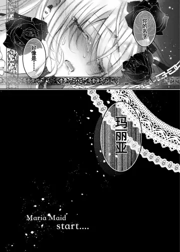 [Yamato Hotaru] Maria xx Maid Fhentai - Page 21