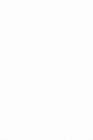 [Hitomaru] Gensou Seibutsu Zukan Shichibachi Ga Fhentai - Page 2