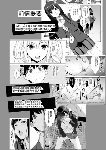 [Fumio] Seiso na Ane ga Suki nanoni, Bitch to Sex Shiteru Ore 2 Fhentai - Page 3