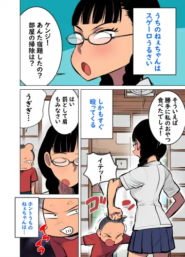 [Seidenki] Namaiki na Ane ni Ikisugita Itazura Fhentai - Page 3
