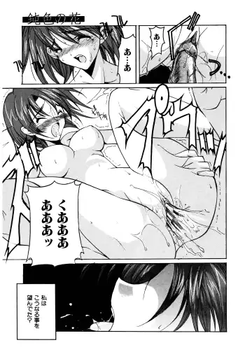 [Misakura Nankotsu] Gotai Choo Manzoku Fhentai - Page 135