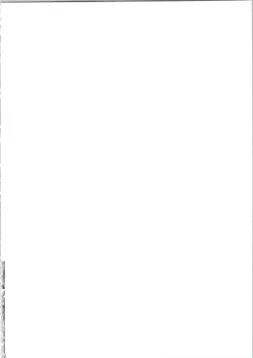 [Kozato Miho] Lina Inverse Juu Shinkan ni NTR Kairaku Ochi | 莉娜・因巴斯被獸神官NTR墮入快樂 Fhentai - Page 2