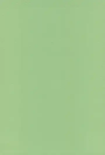 [Softcharm] THE CONTAMINATION Fhentai - Page 2