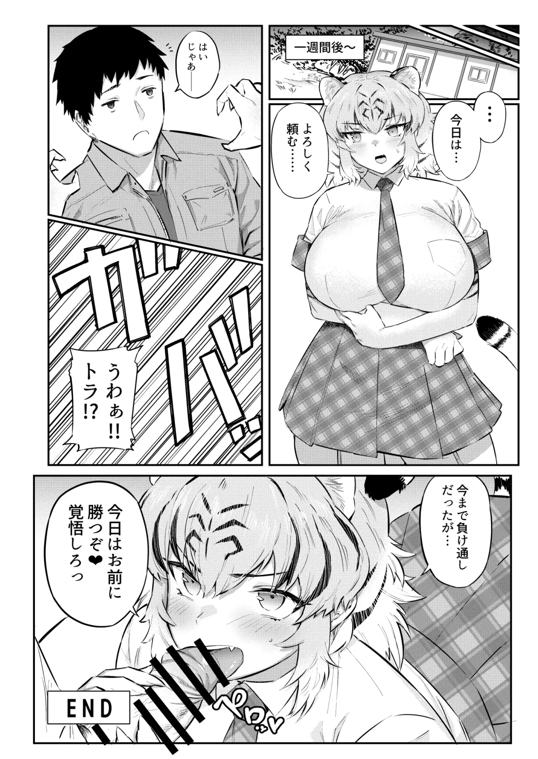 [Hihiyama Yokikana] Tora wa Fureai Shugyou-chuu Fhentai.net - Page 14