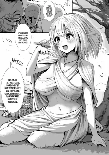Read [Gibachan] Elf's Past - Fhentai