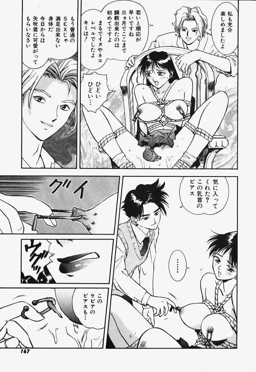 [Nagareboshi Kai] Hard Angel Fhentai - Page 165