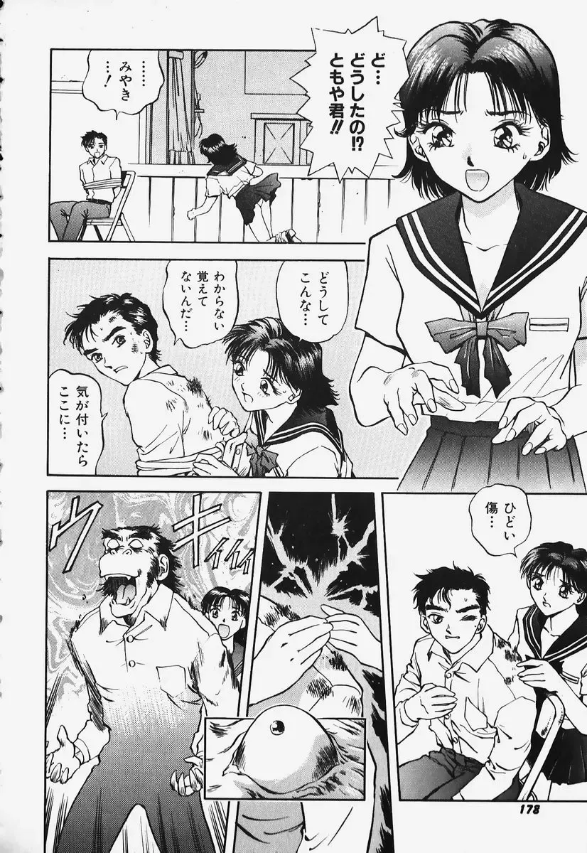 [Nagareboshi Kai] Hard Angel Fhentai - Page 176