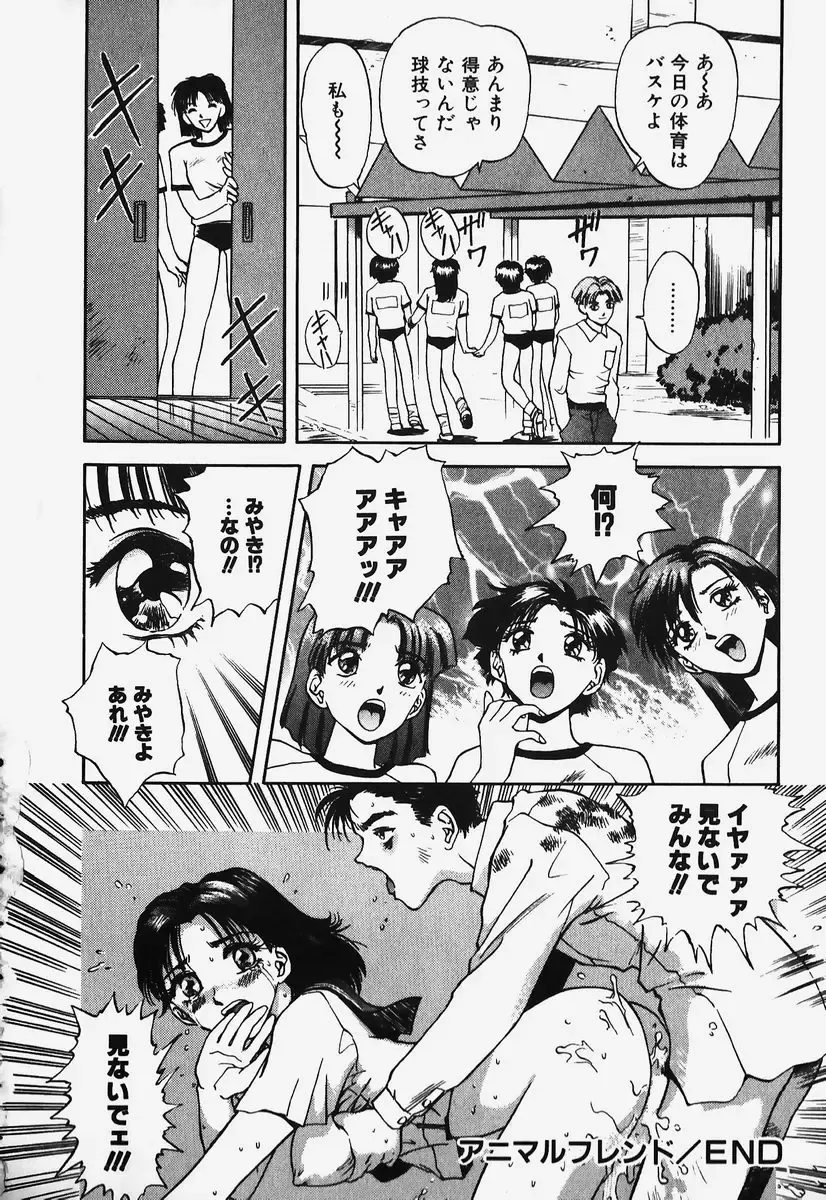 [Nagareboshi Kai] Hard Angel Fhentai - Page 184