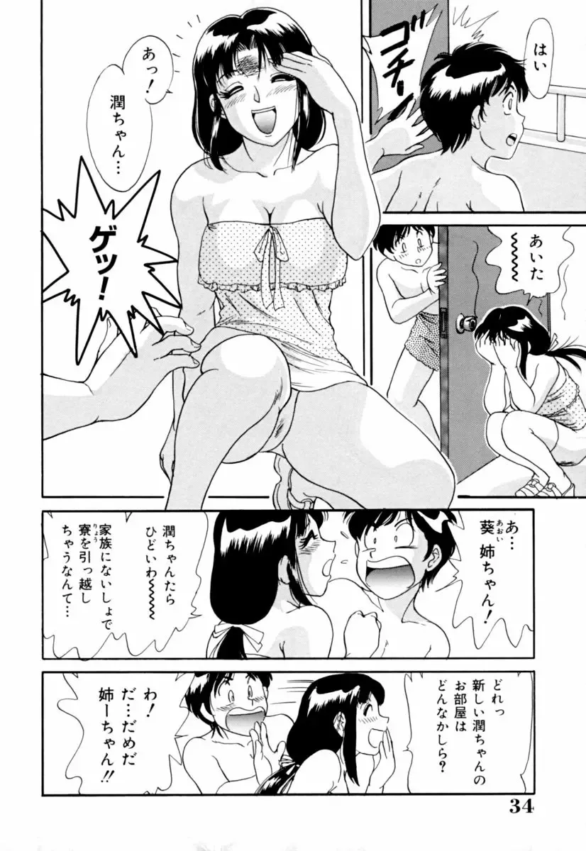 [Chanpon Miyabi - John K. Pe-ta - Kinmedai Pink] Jitsuane Paradise | My dear elder sister Paradise Fhentai - Page 34