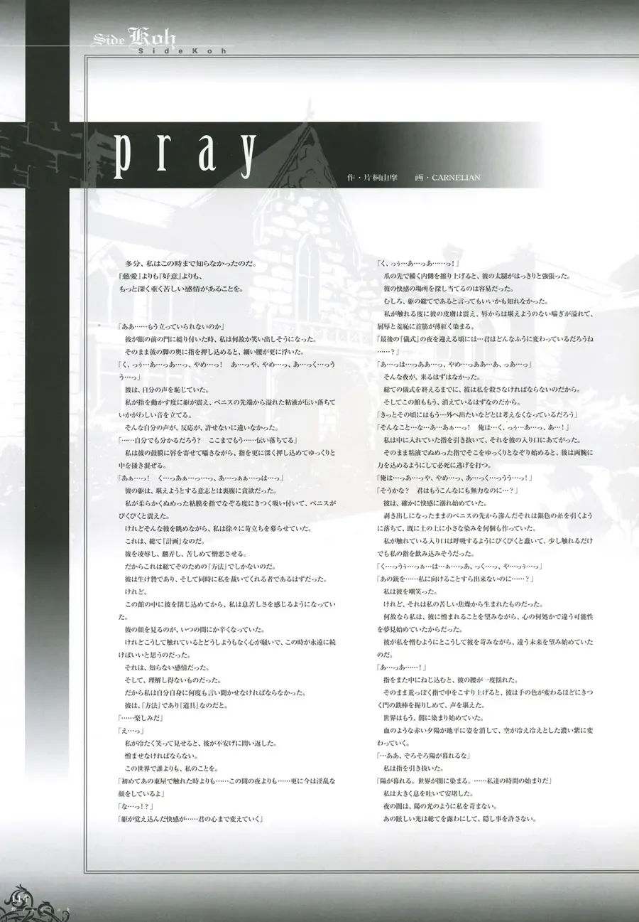 [Carnelian] Trinity - Messiah Visualbook Fhentai - Page 117