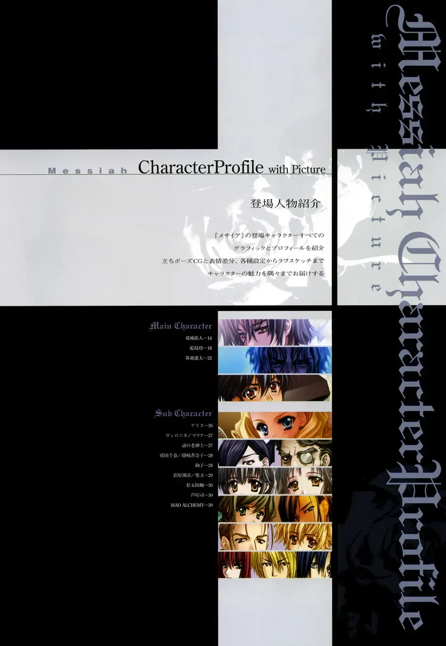 [Carnelian] Trinity - Messiah Visualbook Fhentai - Page 13