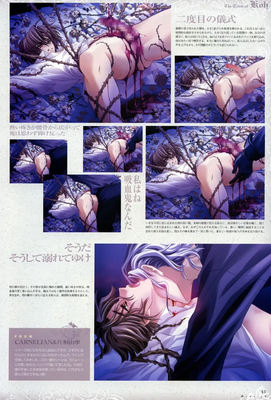 [Carnelian] Trinity - Messiah Visualbook Fhentai - Page 47