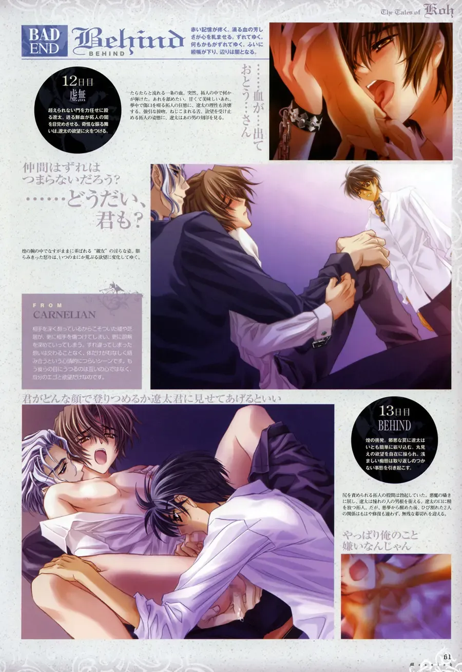 [Carnelian] Trinity - Messiah Visualbook Fhentai - Page 63