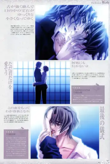 [Carnelian] Trinity - Messiah Visualbook Fhentai - Page 57