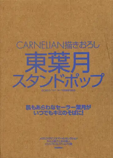 [Carnelian] Yami to Boushi to Hon no Tabibito Visual Collection Fhentai - Page 6