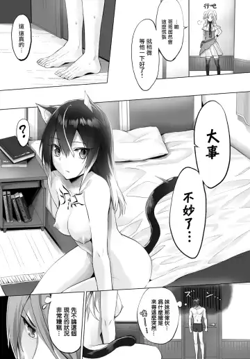 [Kyougoku Touya] Orokamono wa Nekomimi Dorei ni Izon suru ~Hajimete no Choukyou Seikatsu~ Vol. 1 Fhentai - Page 119