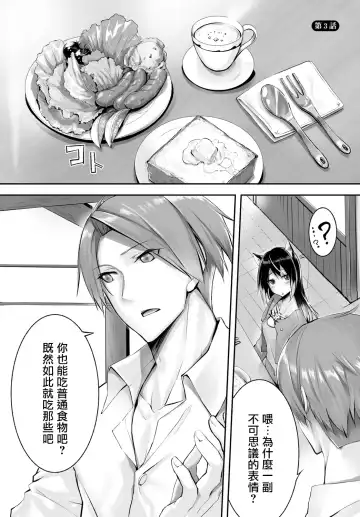 [Kyougoku Touya] Orokamono wa Nekomimi Dorei ni Izon suru ~Hajimete no Choukyou Seikatsu~ Vol. 1 Fhentai - Page 49