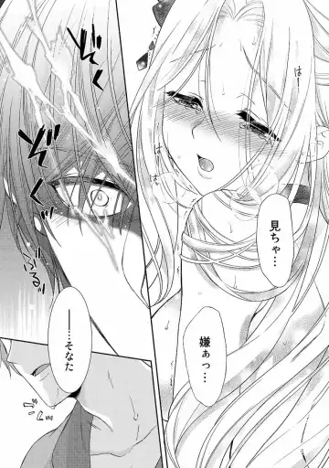 [Carmilla] Tsunderu Moto Akuyaku Reijo v01s Fhentai - Page 62