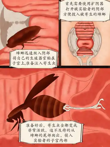 孕妇子宫的寄生虫研究故事1-3 Fhentai.net - Page 2