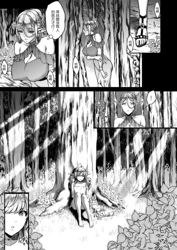 [Usagi Nagomu] Tasogare no Shou Elf 3 Fhentai - Page 3