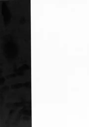 Akuma-shuu Doushi to Hime no Arekore Fhentai - Page 15