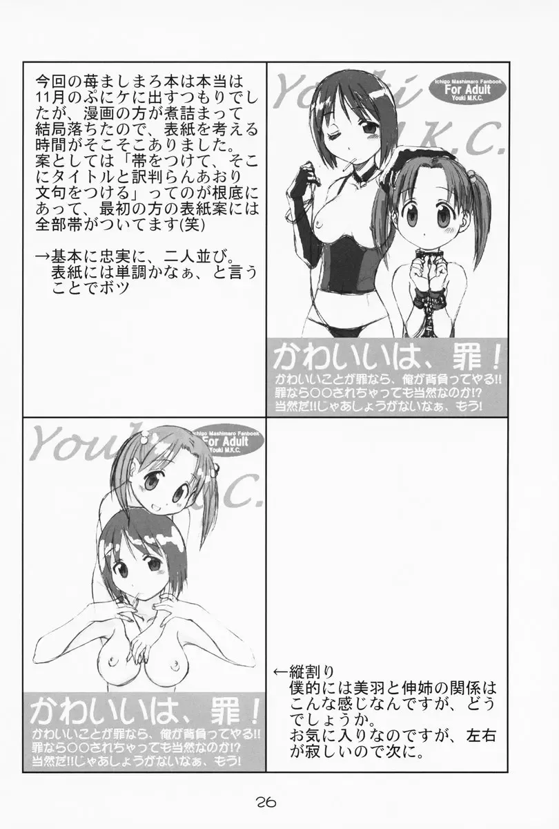 [Saeki Tatsuya - Youki Akira] Ichigo Mahaman Soushuuhen Fhentai - Page 25