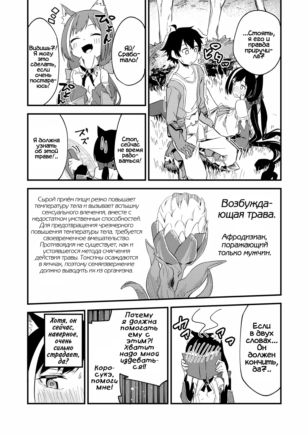 [Shobu] KyaruConne! Fhentai - Page 8