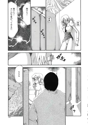 [Taira Hajime] D.D. Fhentai - Page 113