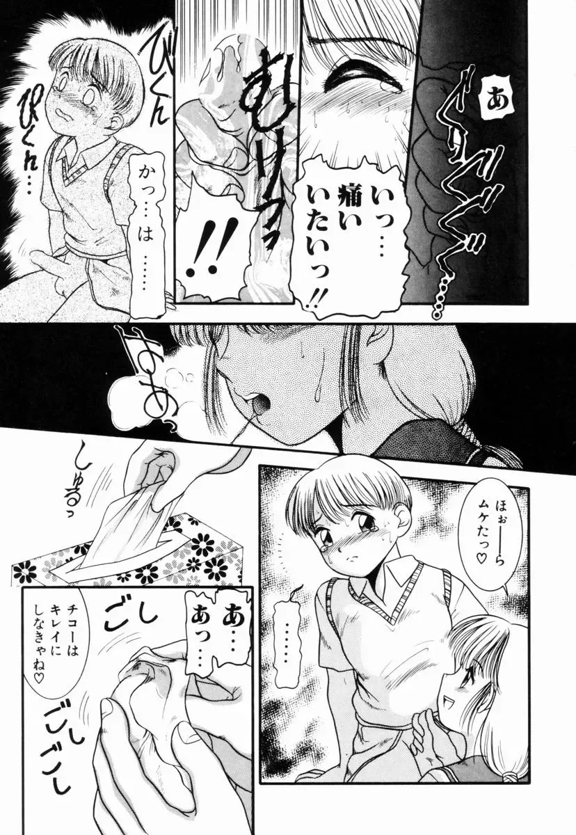 [Nakanoo Kei] Pichi pichi Fhentai - Page 20