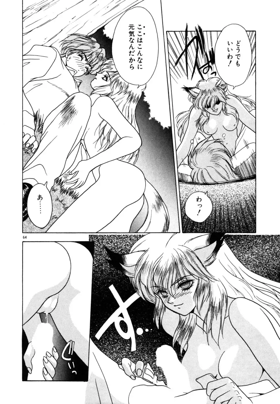 [Fuji Sangou] Phantom Garden Fhentai - Page 67