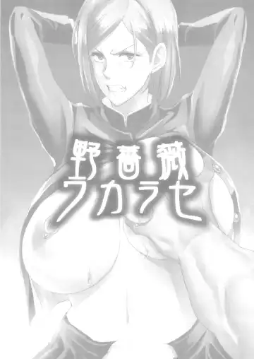 [Haikawa Hemlen] Nobara Wakarase | Nobara Correction Fhentai - Page 3